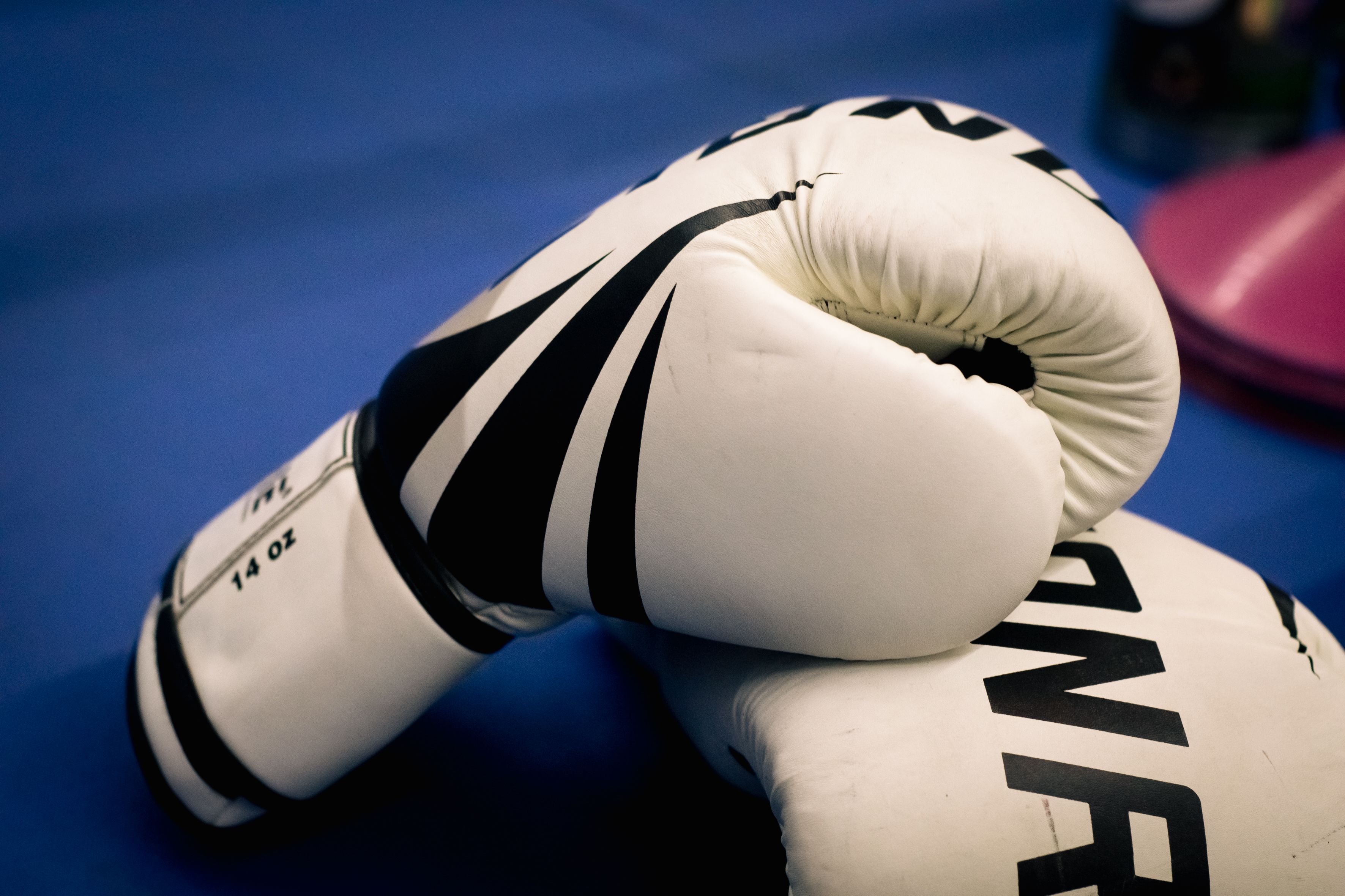 White boxing gloves on a blue mat, capturing the essence of training and combat sports.