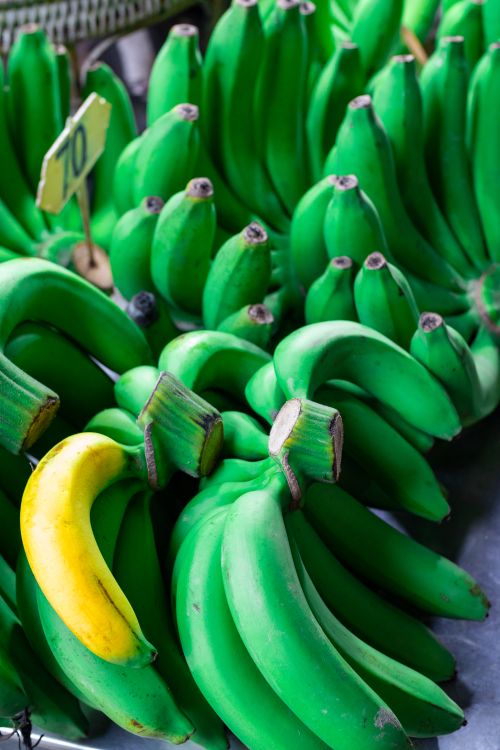 Free Vibrant display of green bananas at Tha Talat, Thailand market. Perfect for tropical fruit themes. Stock Photo
