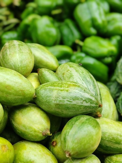 Free Close-up of fresh green pointed gourds (Trichosanthes dioica) in Lucknow market. Stock Photo