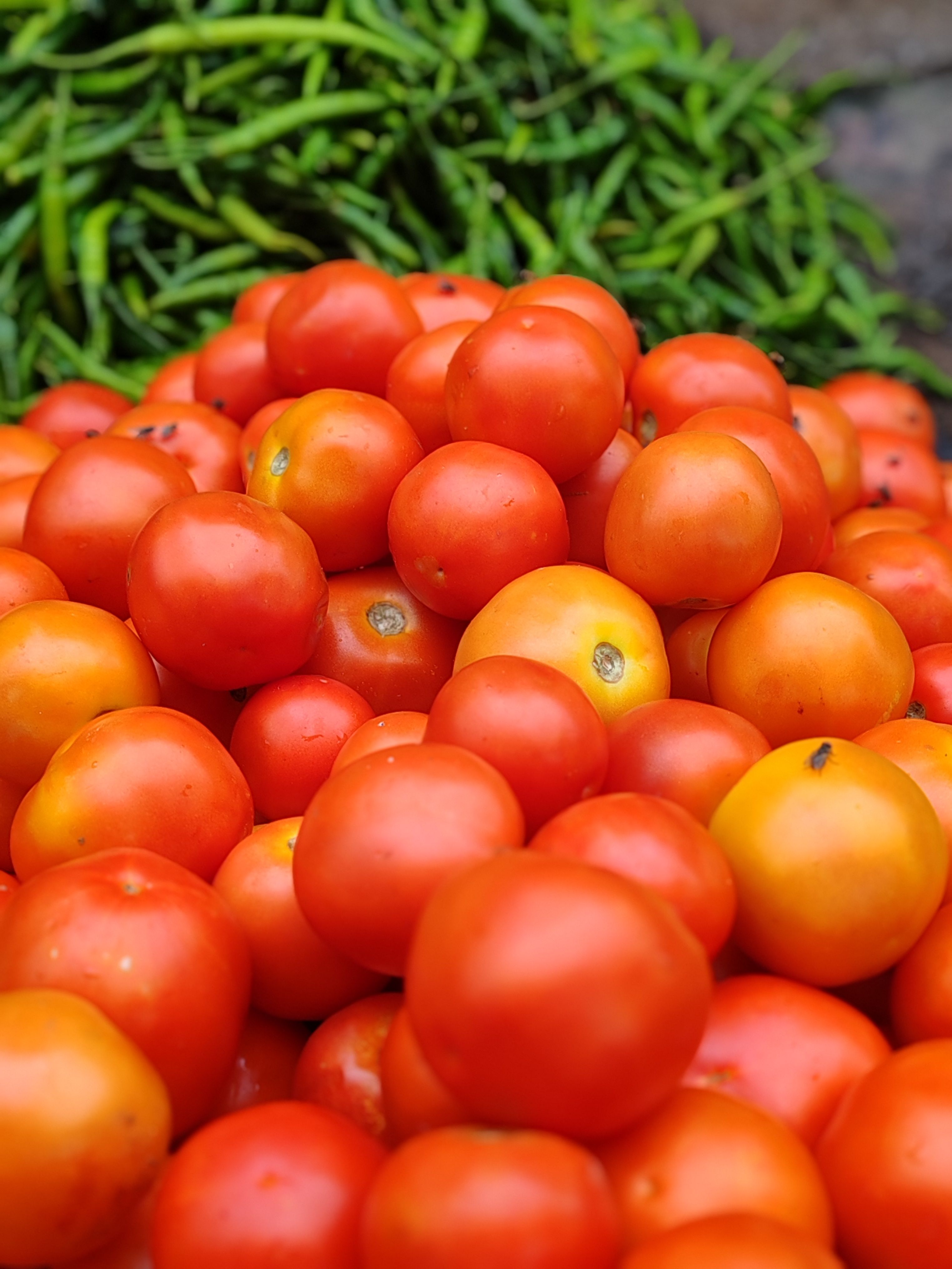 Tomate Italiano (kg)