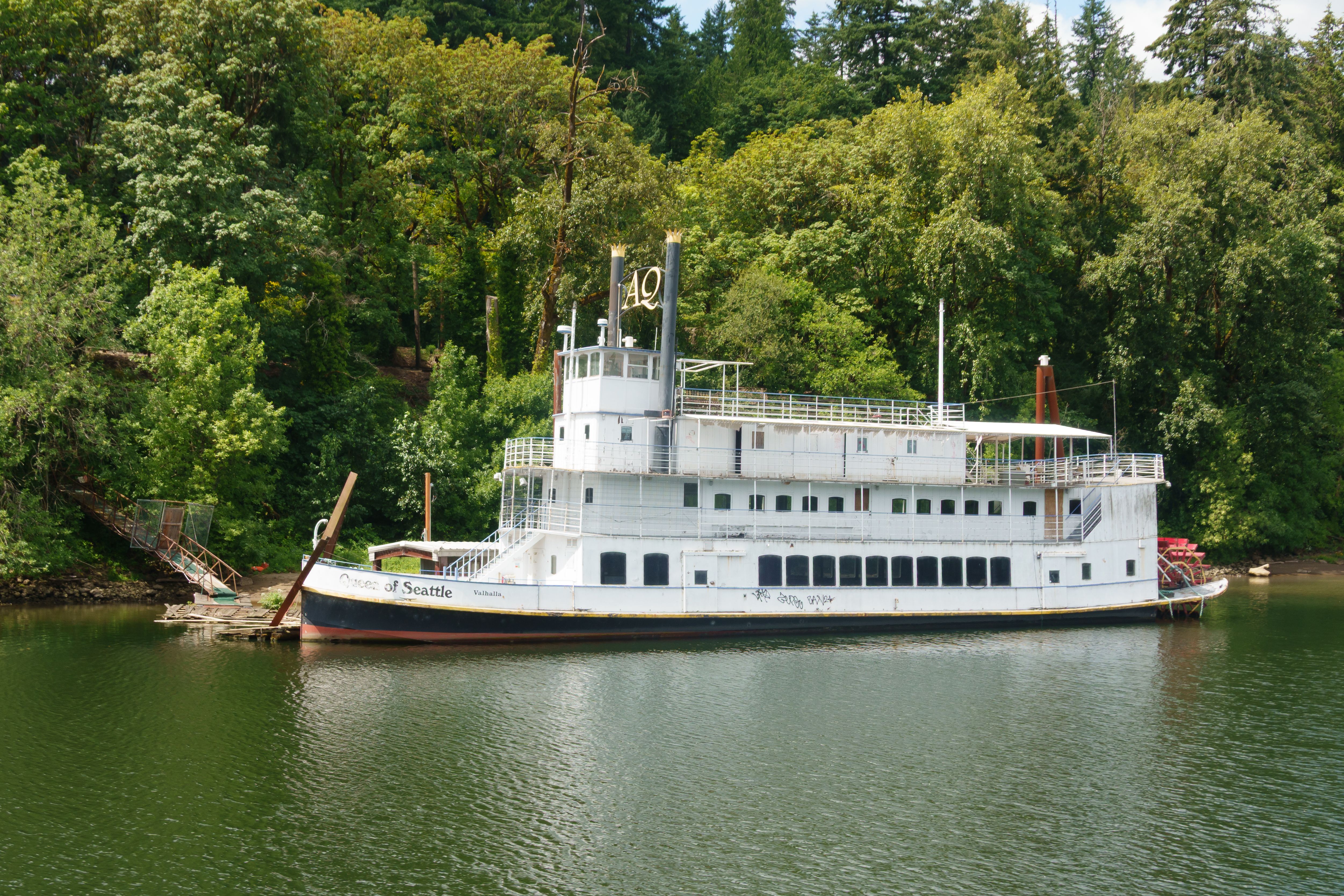 A classic paddle steamboat, Queen of Seattle, docked on a lush riverside.