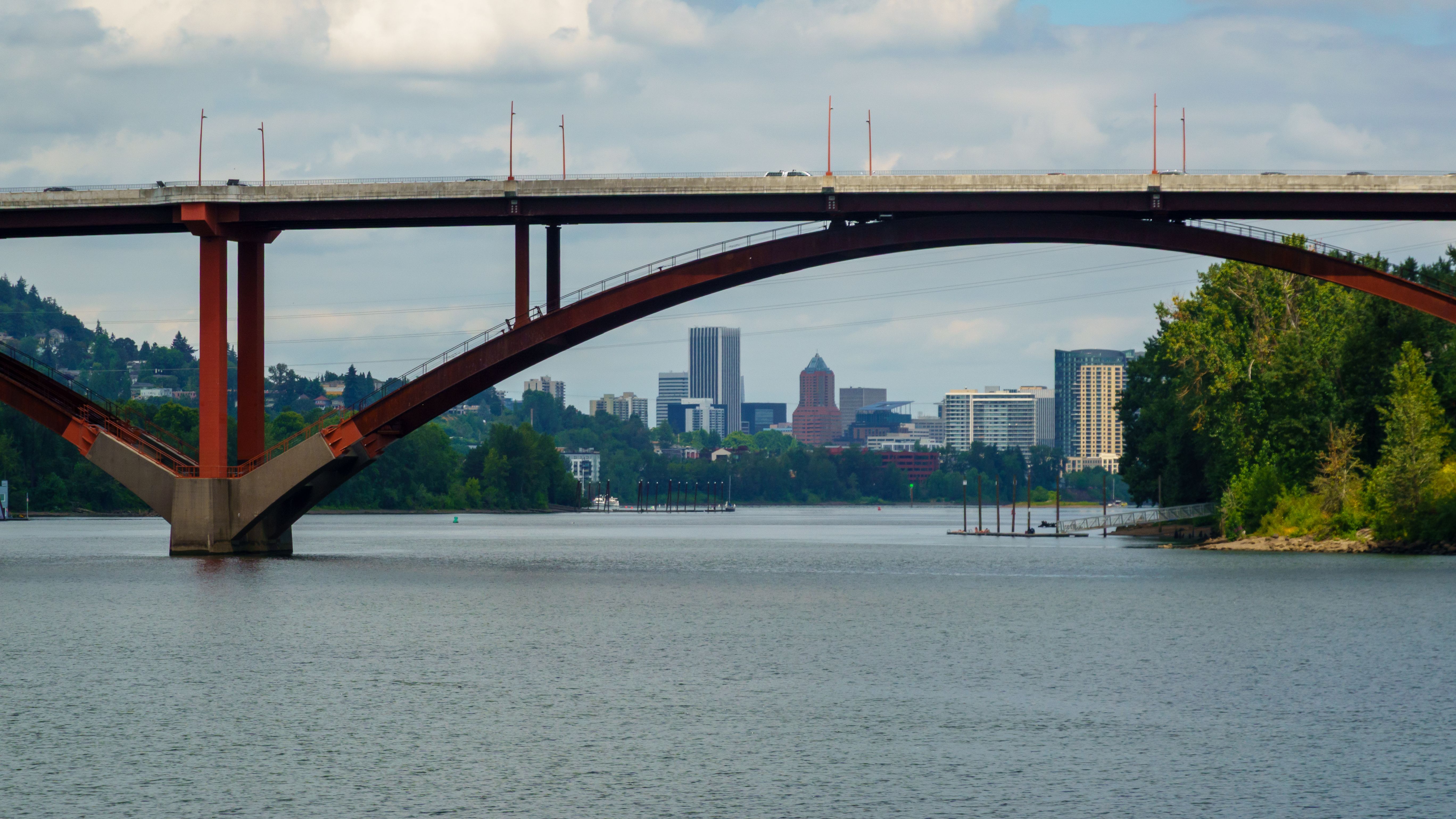 Top Portland, OR Pet Product Giveaways With No Purchase Necessary: Safe Entry Guide