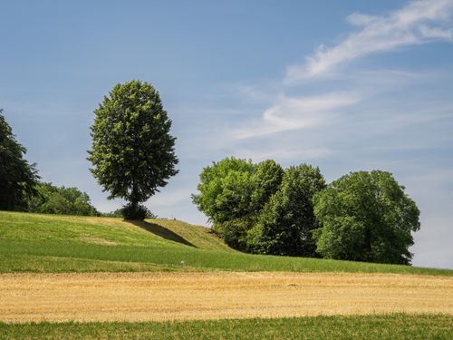Free Peaceful rural scene showcasing green trees, blue skies, and fields during summer. Stock Photo