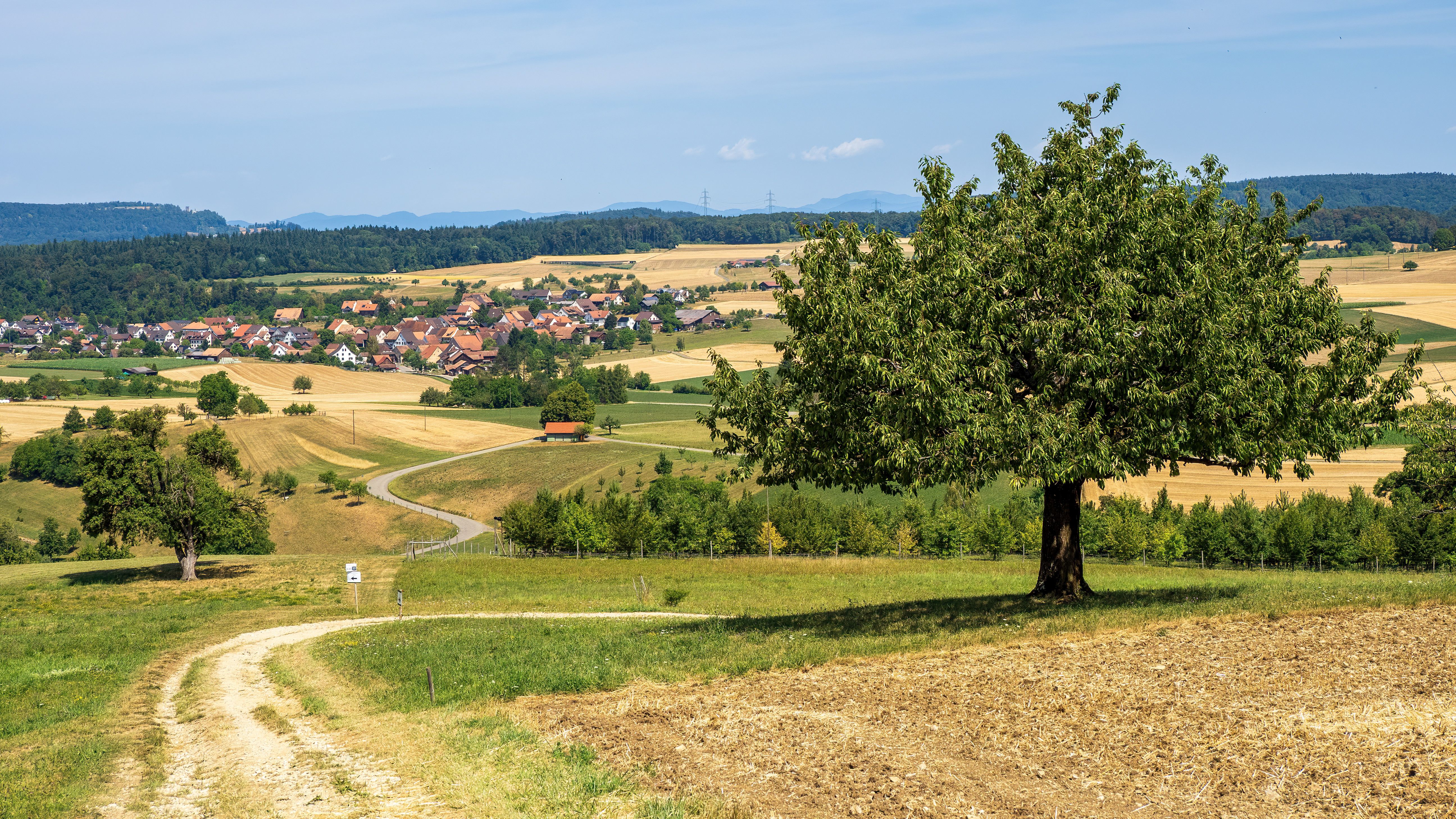 Baumkirchen