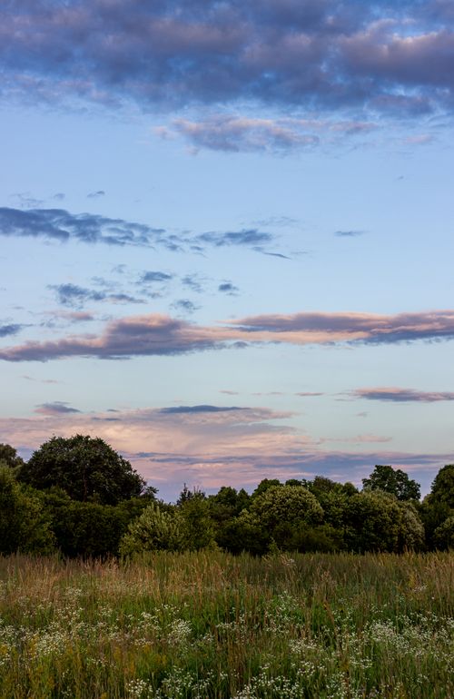 Free A tranquil summer scene featuring lush greenery and a dramatic cloudy sky at twilight. Stock Photo