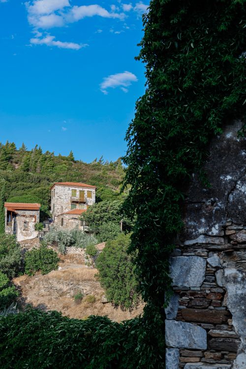 Free Charming stone houses amid lush greenery under a clear blue sky in Doğanbey, Türkiye. Stock Photo
