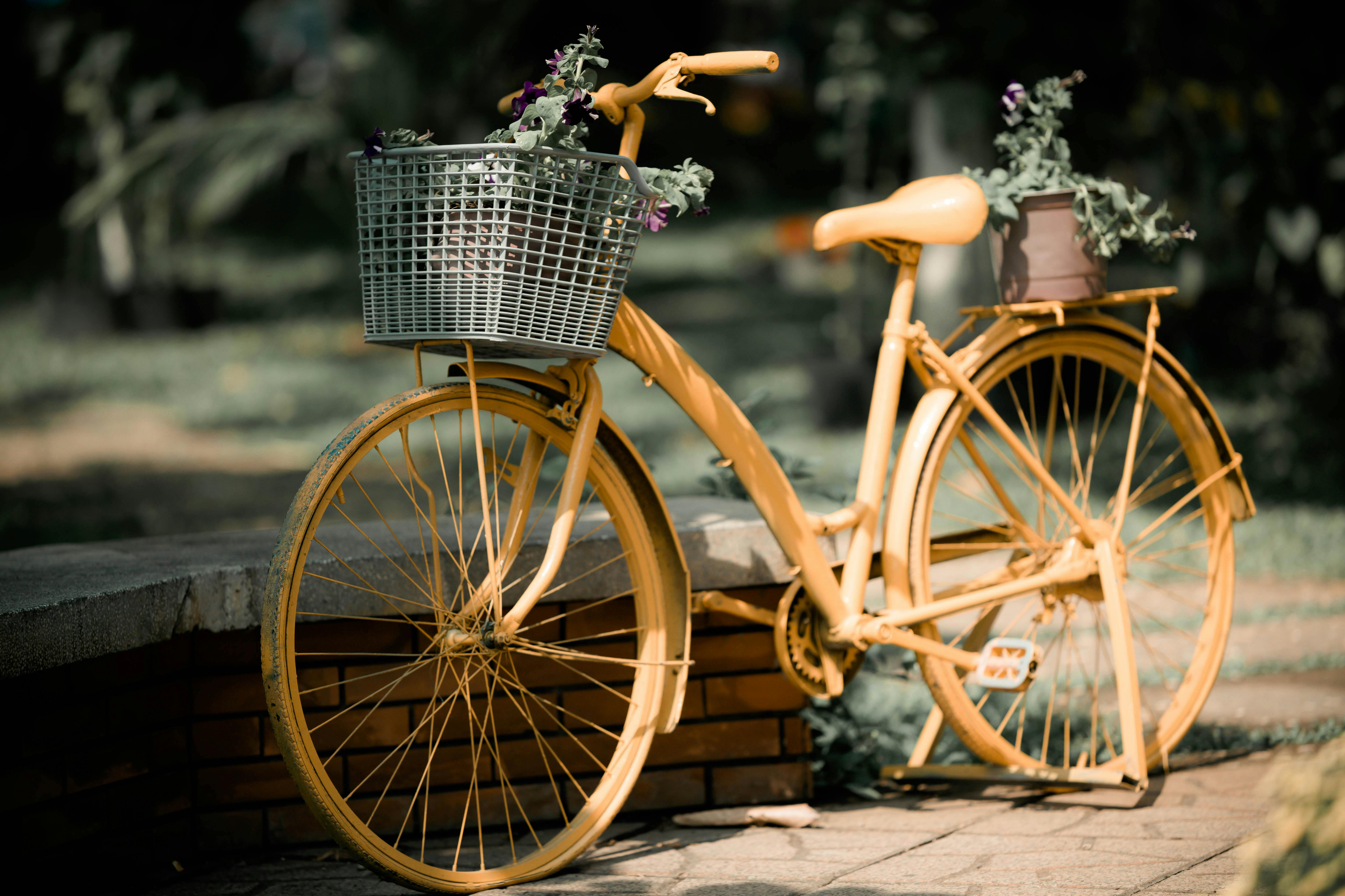 Brown Bike With Basket · Free Stock Photo