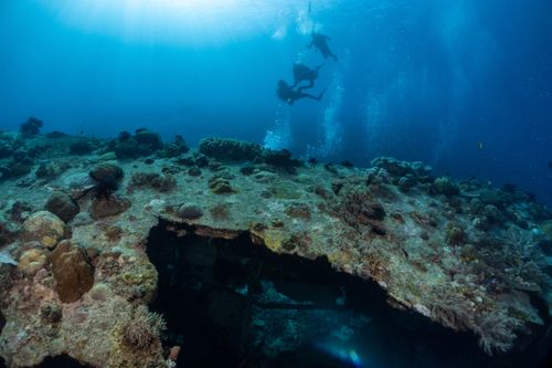 Free Scuba divers explore the vibrant underwater world of a coral reef in Indonesia. Stock Photo