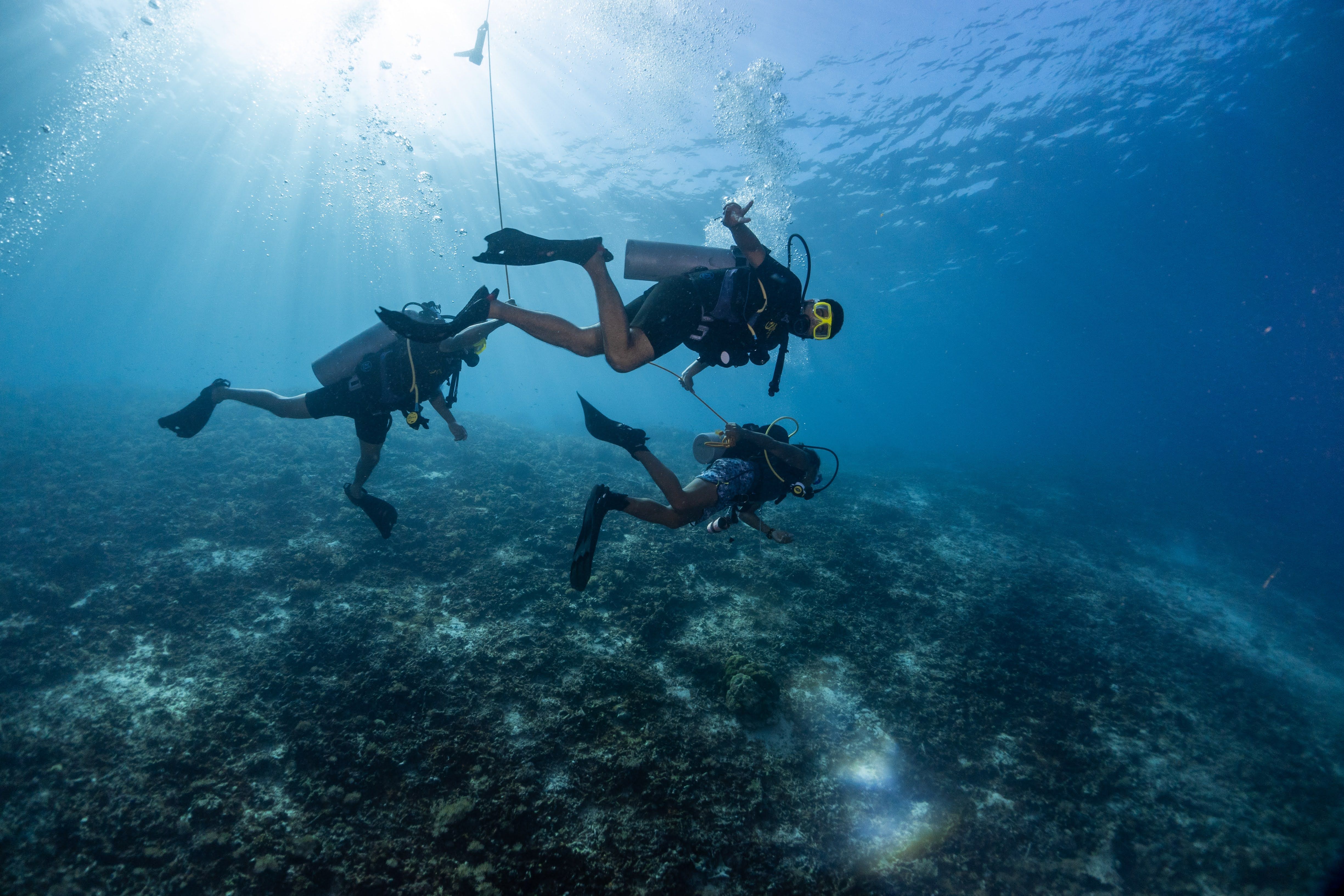 Three scuba divers explore coral reefs in West Nusa Tenggara, Indonesia.