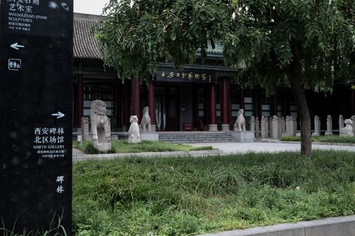 Free stock photo of ancient building, chinas, shaanxi Stock Photo