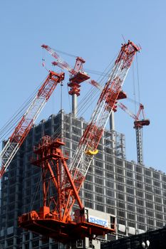 Red cranes dominate a Tokyo construction site under a clear blue sky, showcasing urban development.