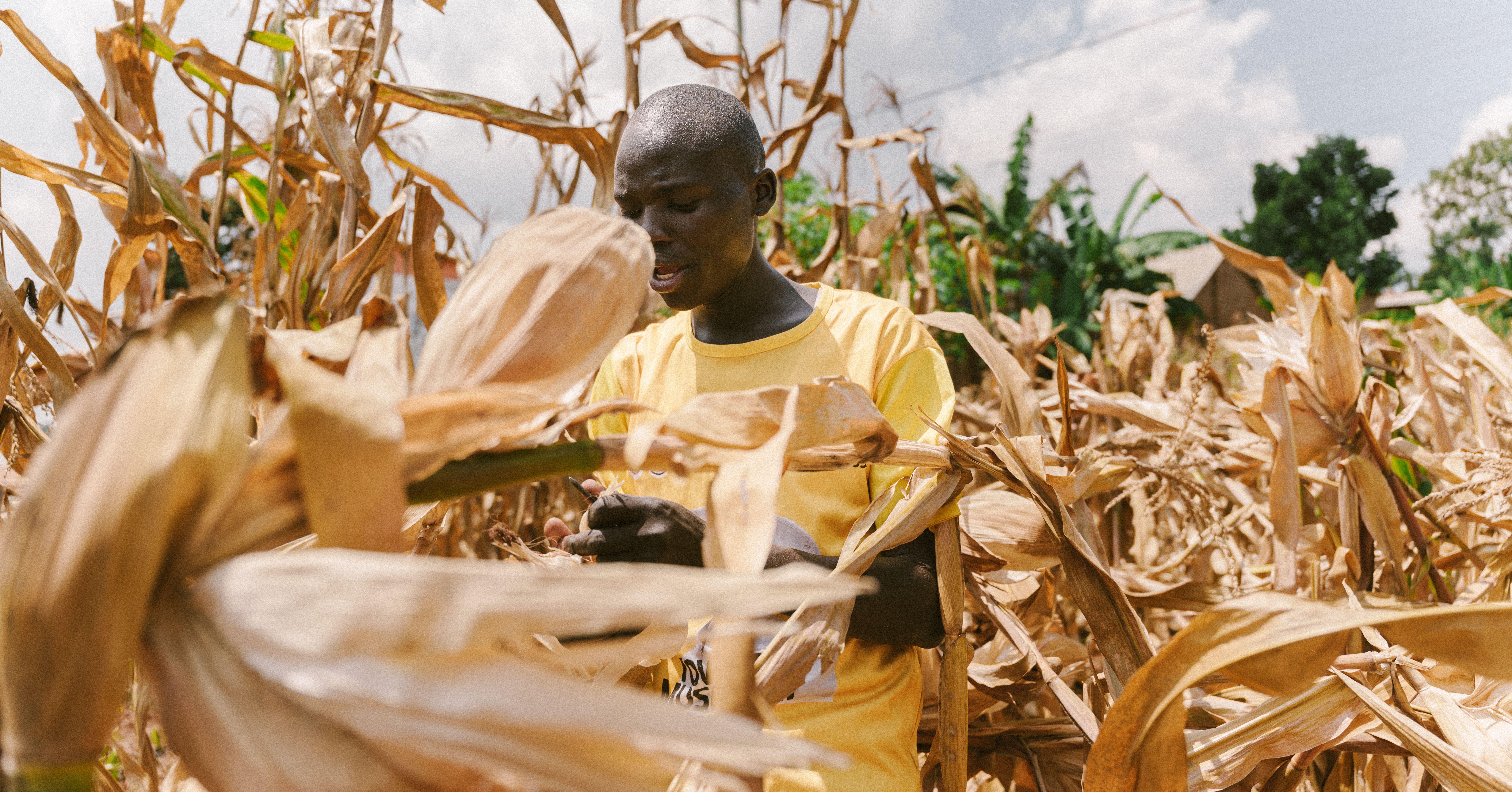Biofarm insights image