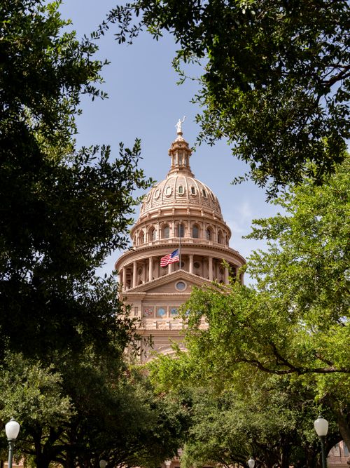 Free The dome of the Texas State Capitol framed by lush green trees under a clear blue sky. Stock Photo