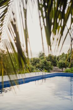 A tranquil pool surrounded by lush greenery and palm leaves in Amblash, Gujarat.