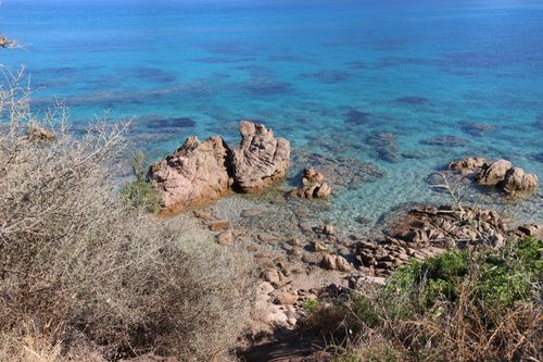 Free Crystal clear blue ocean with rocky shore and brush in the foreground. Stock Photo