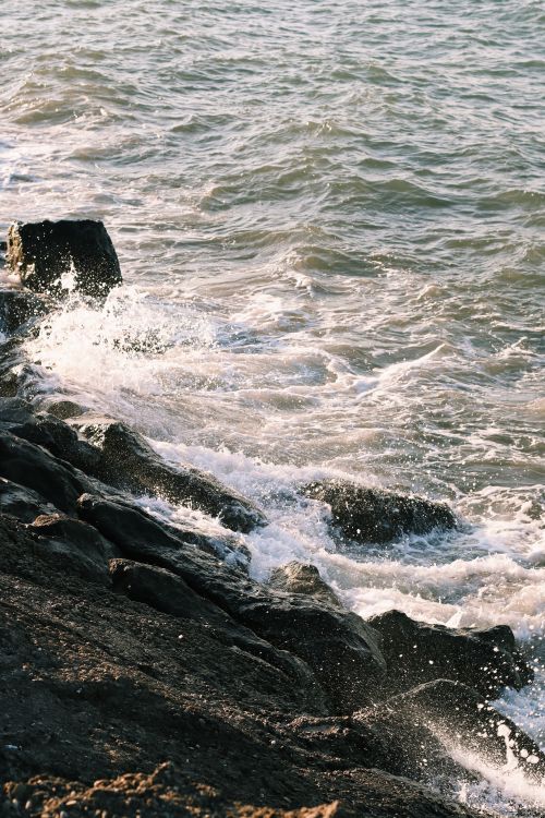 Free Dynamic ocean waves crashing on a rocky coast in Samsun, Türkiye. Stock Photo