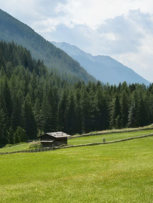 Free Rustic cabin with lush green meadow and alpine forest in Trentino-Alto Adige, Italy. Stock Photo