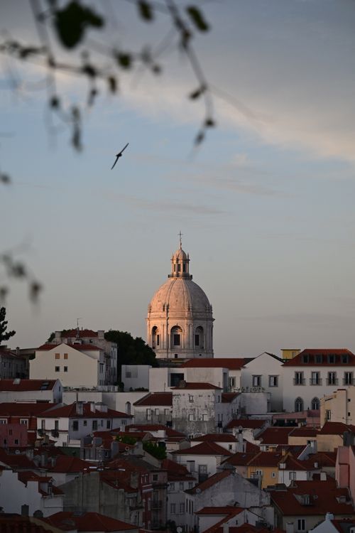 Free Captivating view of Lisbon's Alfama district showcasing the majestic Santa Engrácia dome at twilight. Stock Photo