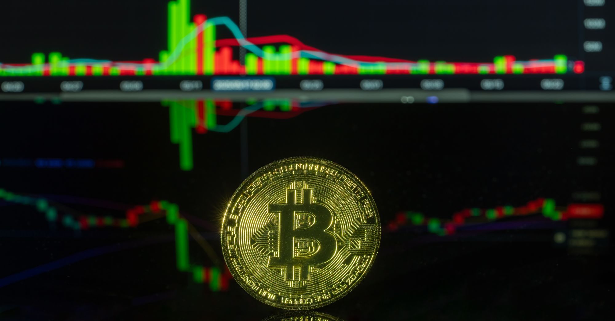 Jacob Brukhman Says Capital "Most Trivial" Contribution in Crypto Ventures