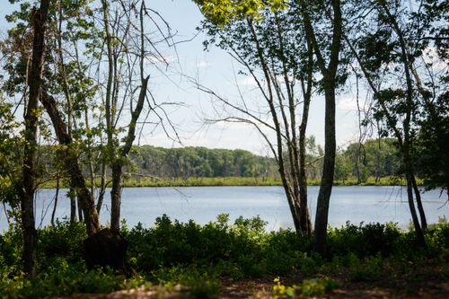 Free Tranquil forest view of a river in Sherborn, MA, on a sunny day. Stock Photo