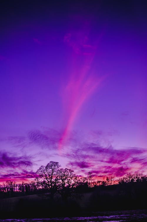 日落的颜色, 粉紅色, 紫色 的 免费素材图片