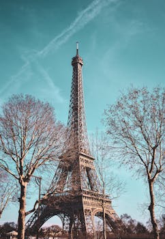 Breathtaking view of the Eiffel Tower surrounded by bare winter trees, under a bright blue sky in Paris.