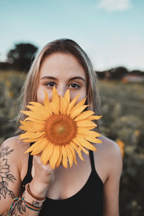 Kostnadsfri bild av beläggning, blommor, blont hår