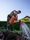 gardener