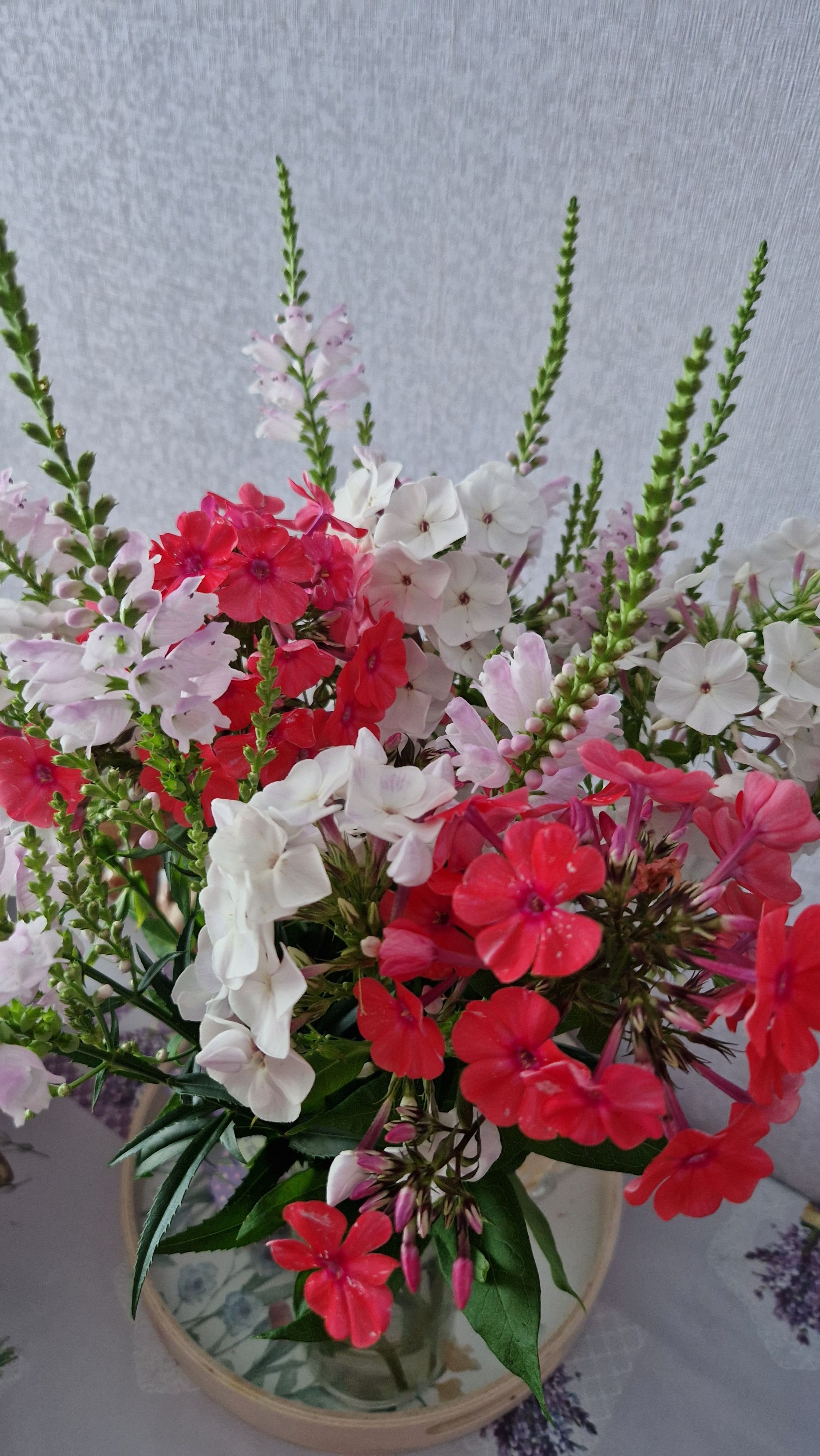 [ColoSach]-close-up-view-of-a-vibrant-bouquet-featuring-red-and-white-phlox-flowers-with-green-foliage.