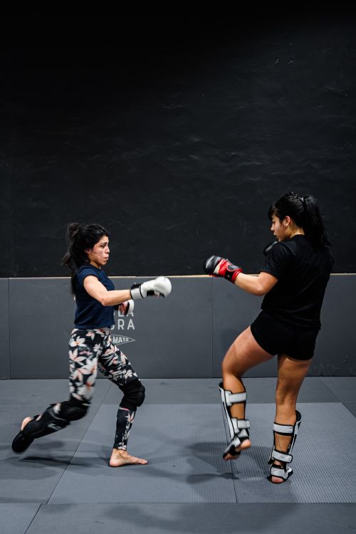Free Two women engage in a dynamic martial arts sparring session indoors. Stock Photo