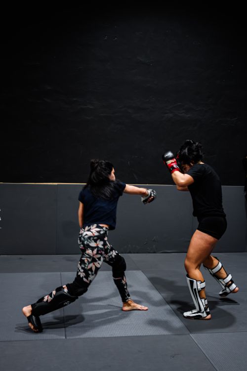 Free Two women engage in a mixed martial arts training session indoors, demonstrating combat skills. Stock Photo