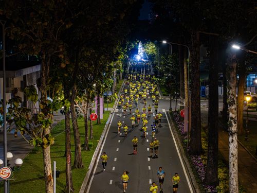 Free Aerial view of marathon runners on a tree-lined street at night. Stock Photo