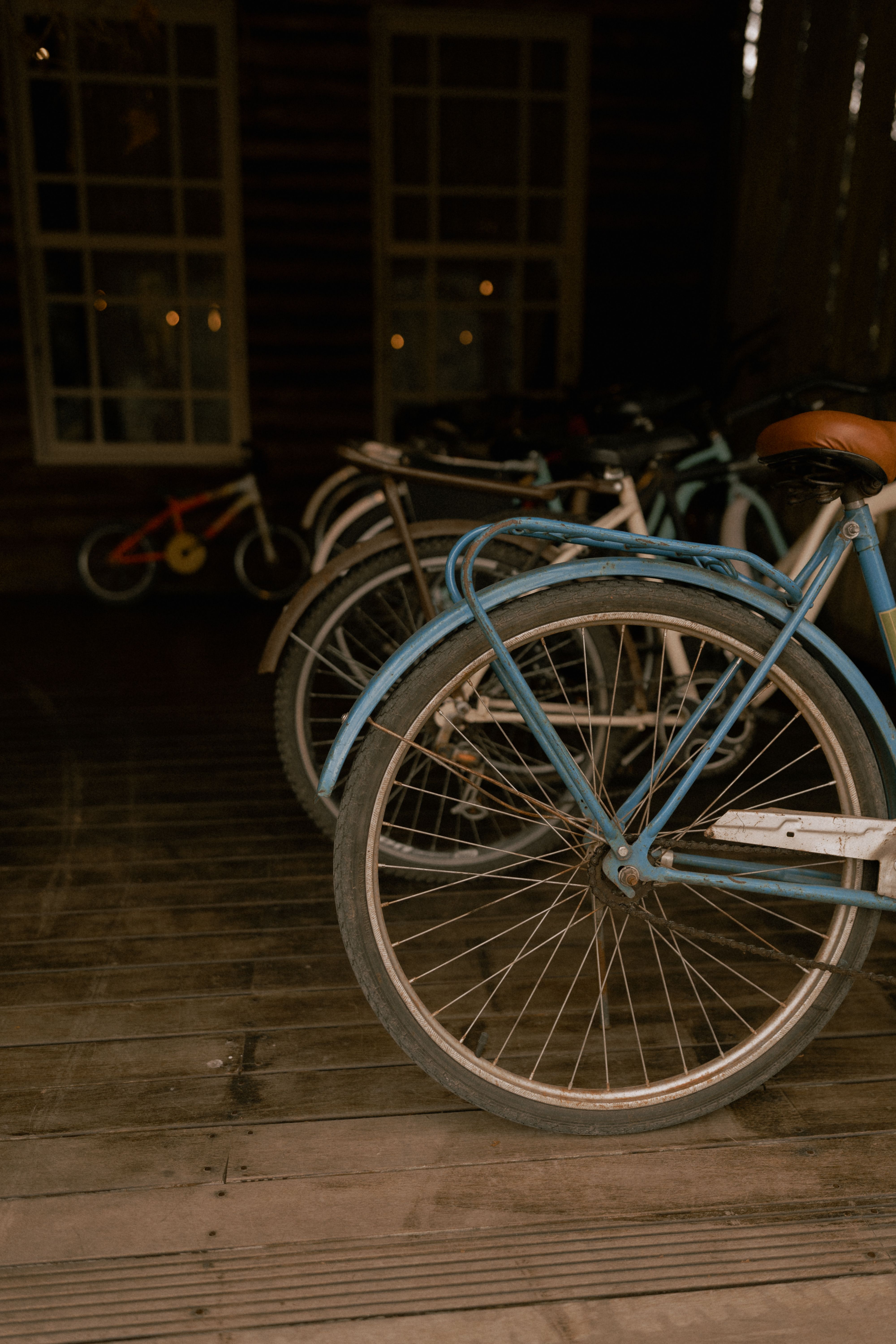 A collection of vintage bikes lined up indoors, showcasing classic design and nostalgia.