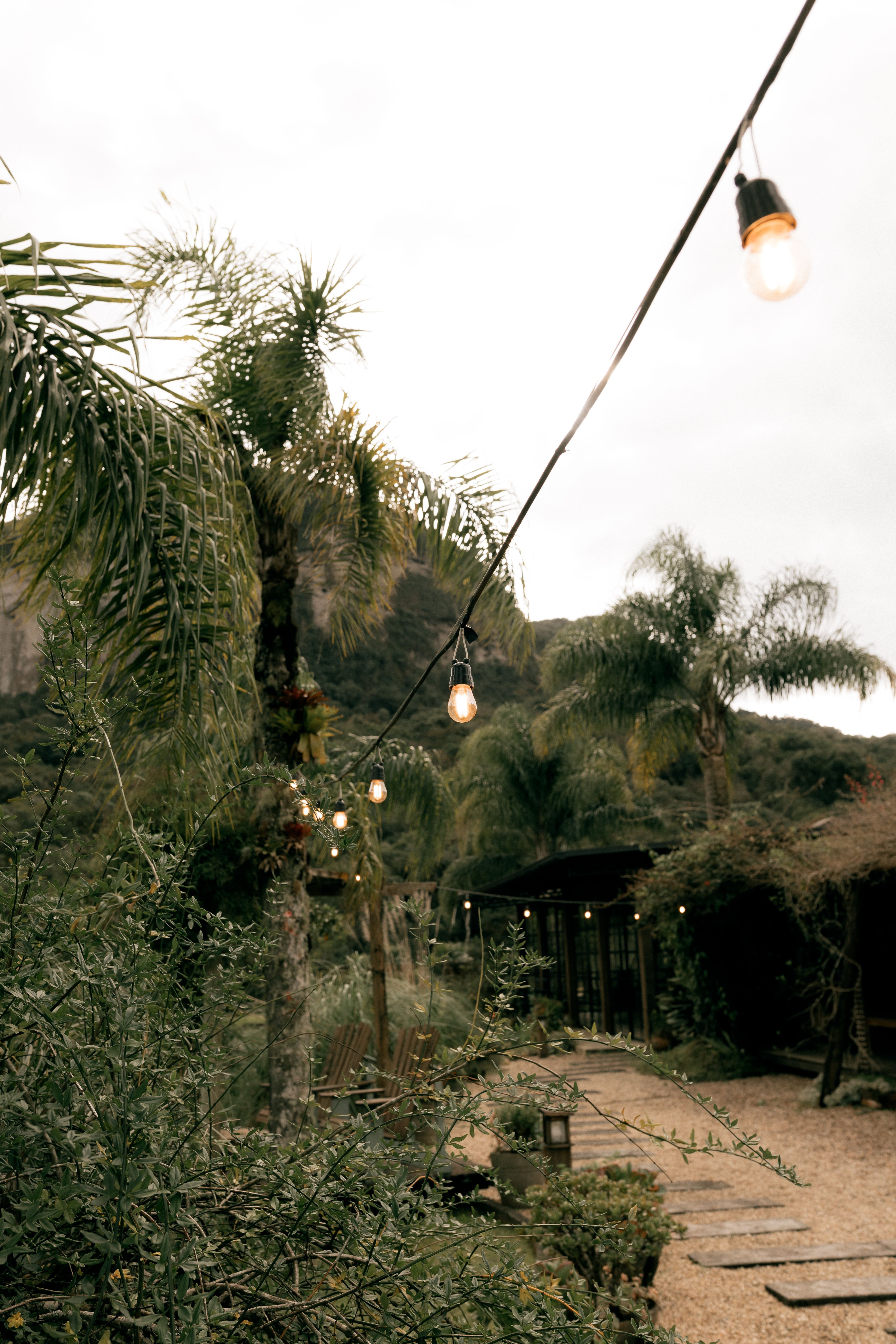free photo of charming outdoor garden with string lights