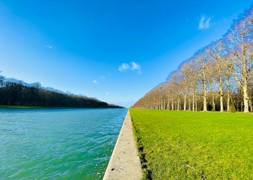 Free stock photo of garden, green, lac