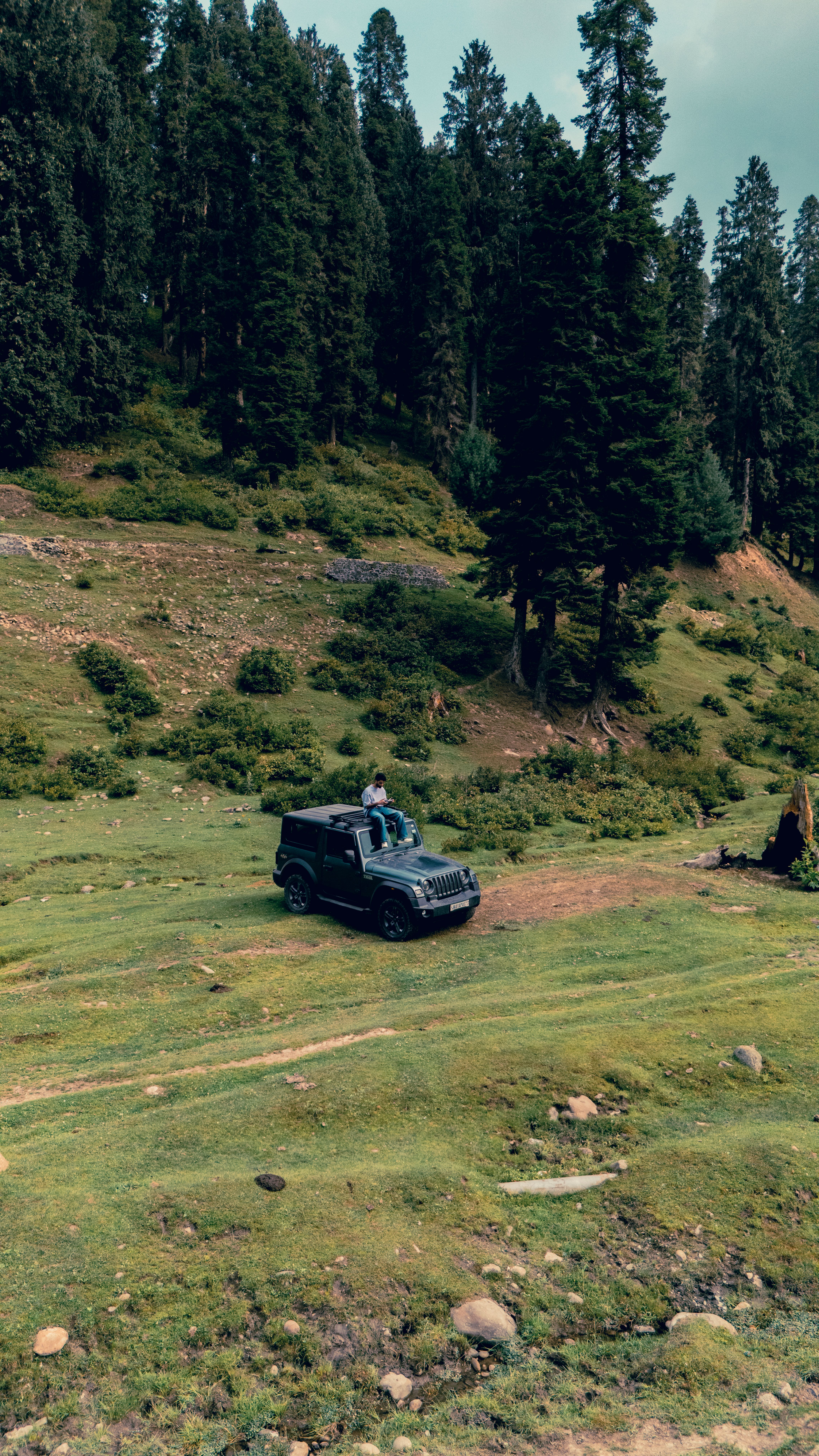 Explore the lush greenery and towering trees on a scenic drive through Kashmir's stunning landscapes.