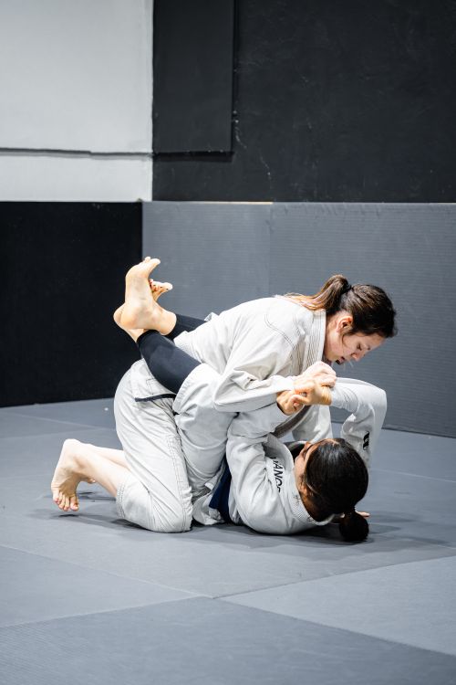 Free Two women engage in Brazilian Jiu-Jitsu grappling on a training mat indoors. Stock Photo