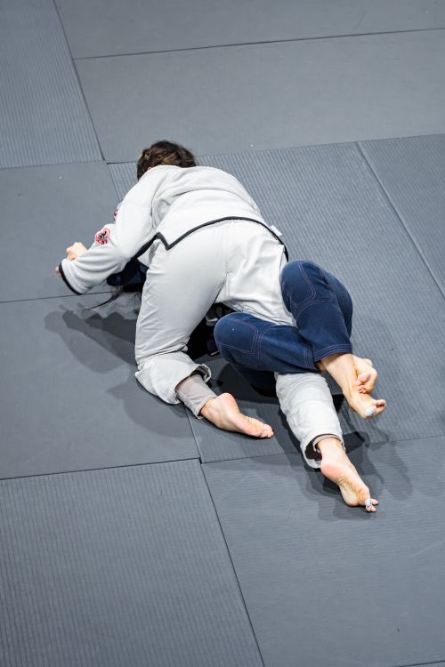 Free Martial artists in a Brazilian Jiu-Jitsu training session showcase grappling techniques. Stock Photo