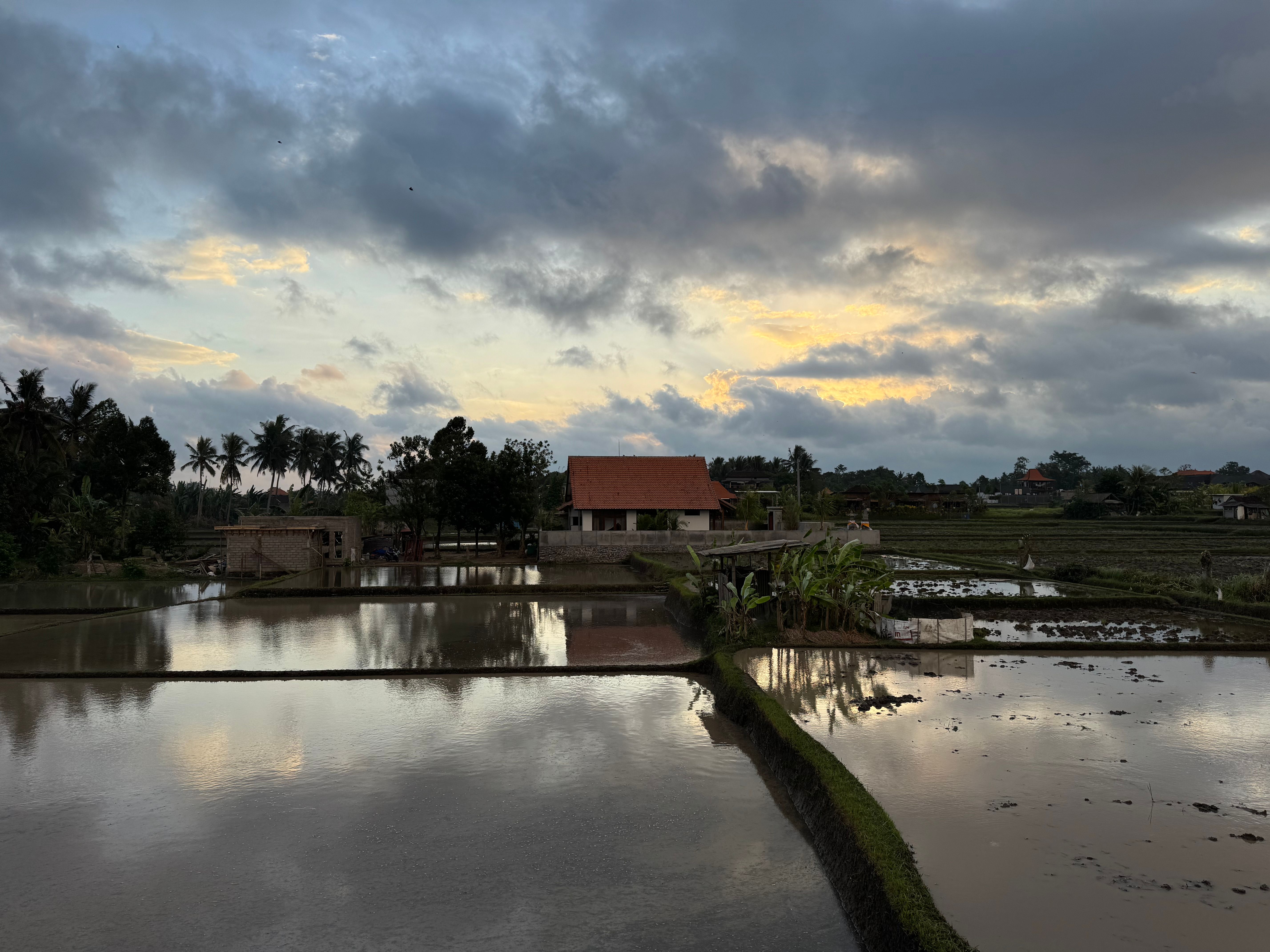 Anthropologist’s field notebook showing Balinese village observations, handwritten notes, and rain-stained pages