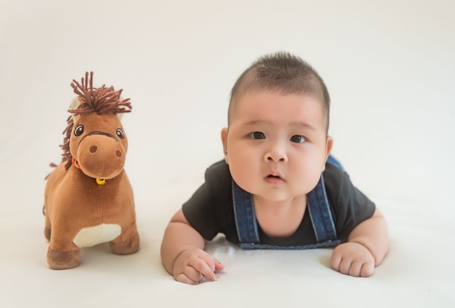 Bebê engatinhando ao lado de brinquedo de pelúcia