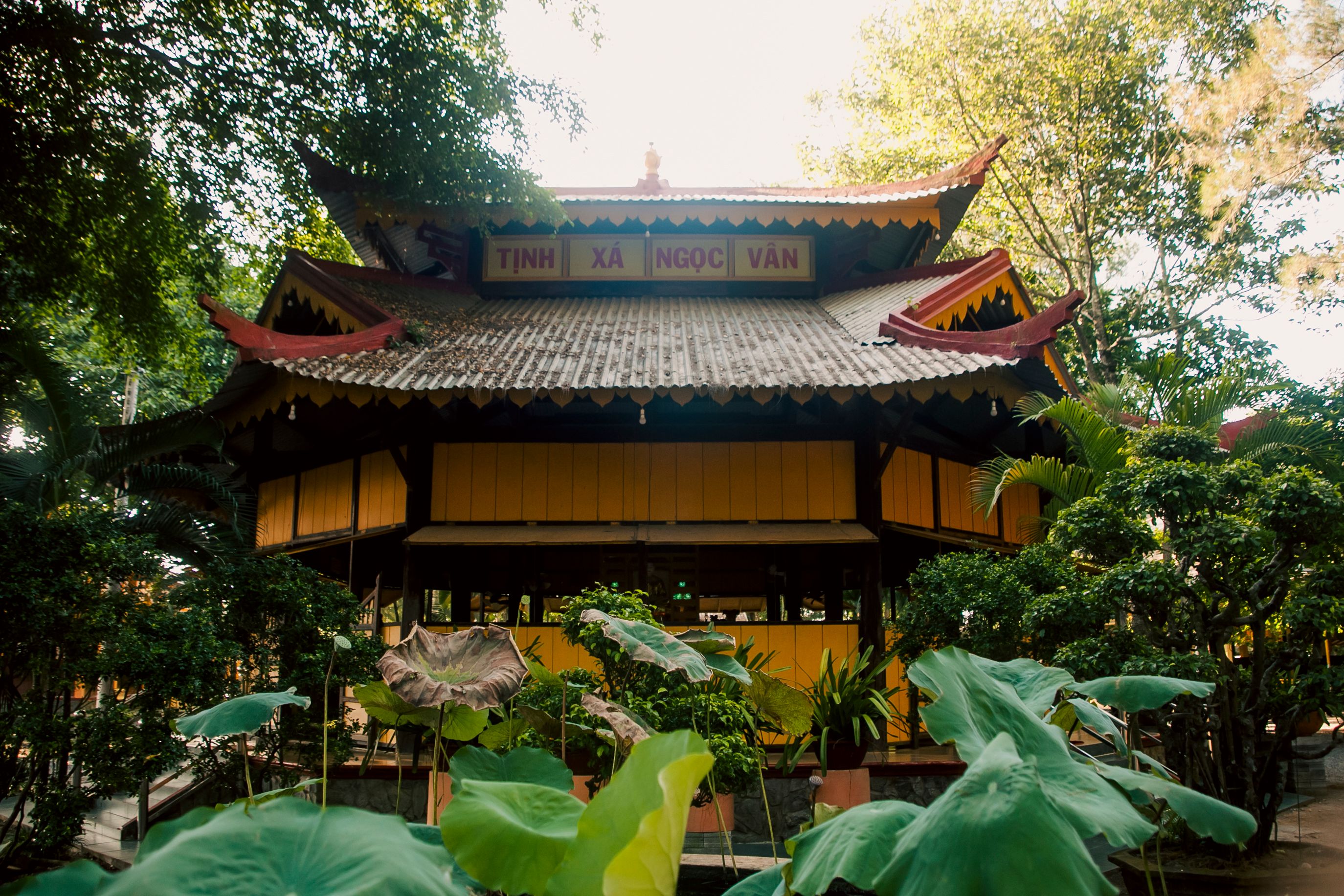 Ngoc Van Temple surrounded by lush trees and plants in Vinh Long, Vietnam