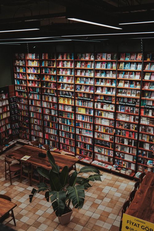Free Aerial view of a cozy bookstore with tall shelves full of books and wooden tables. Stock Photo