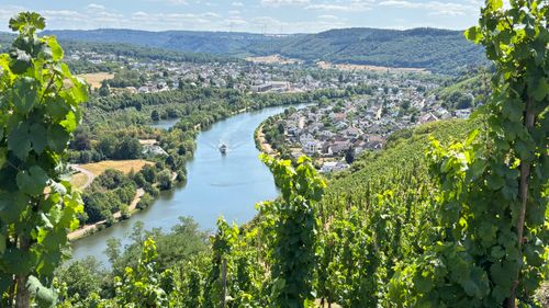 Free Scenic view of a winding river through lush vineyards and a quaint town on a sunny summer day. Stock Photo