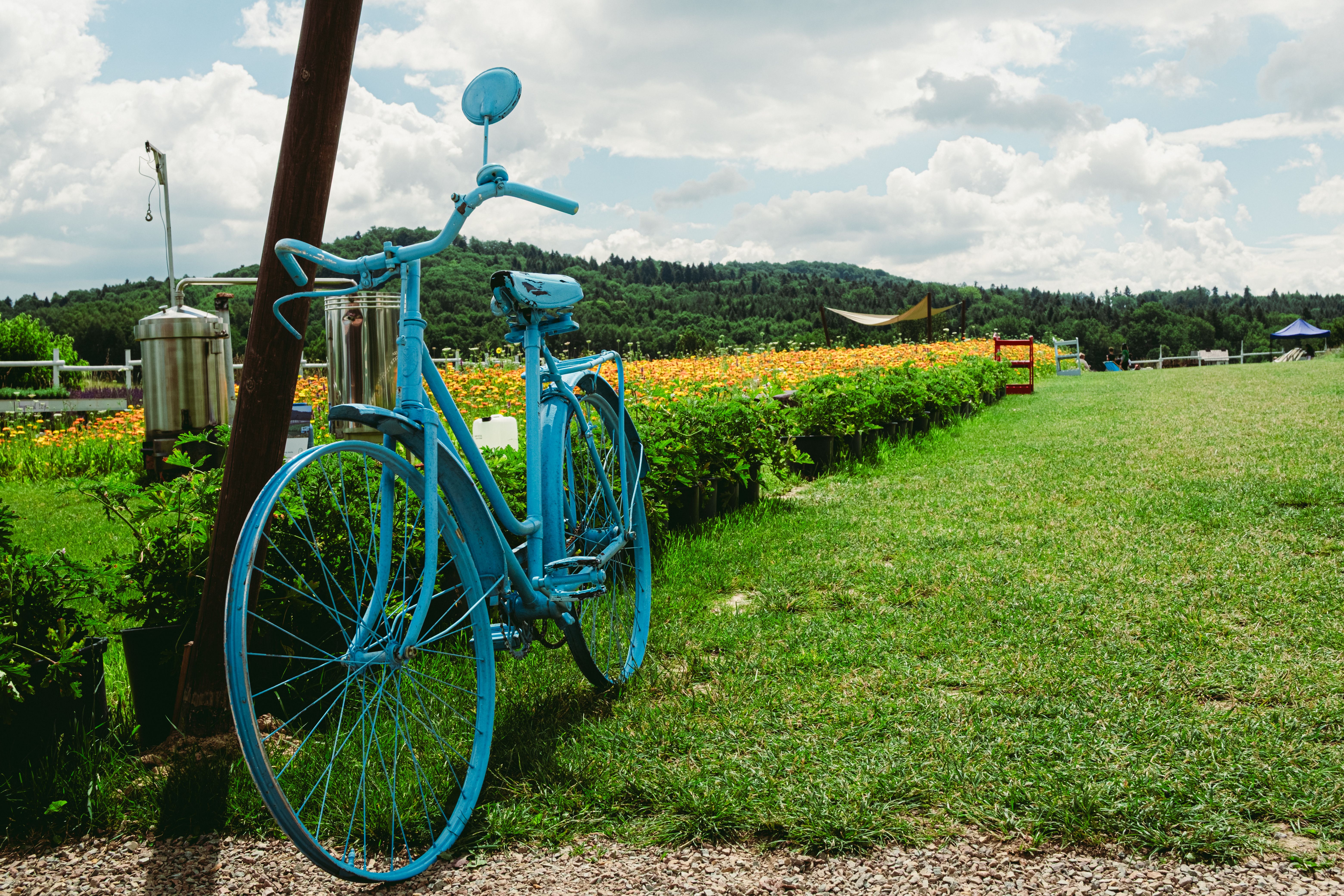 Oklahoma prairie biking trail