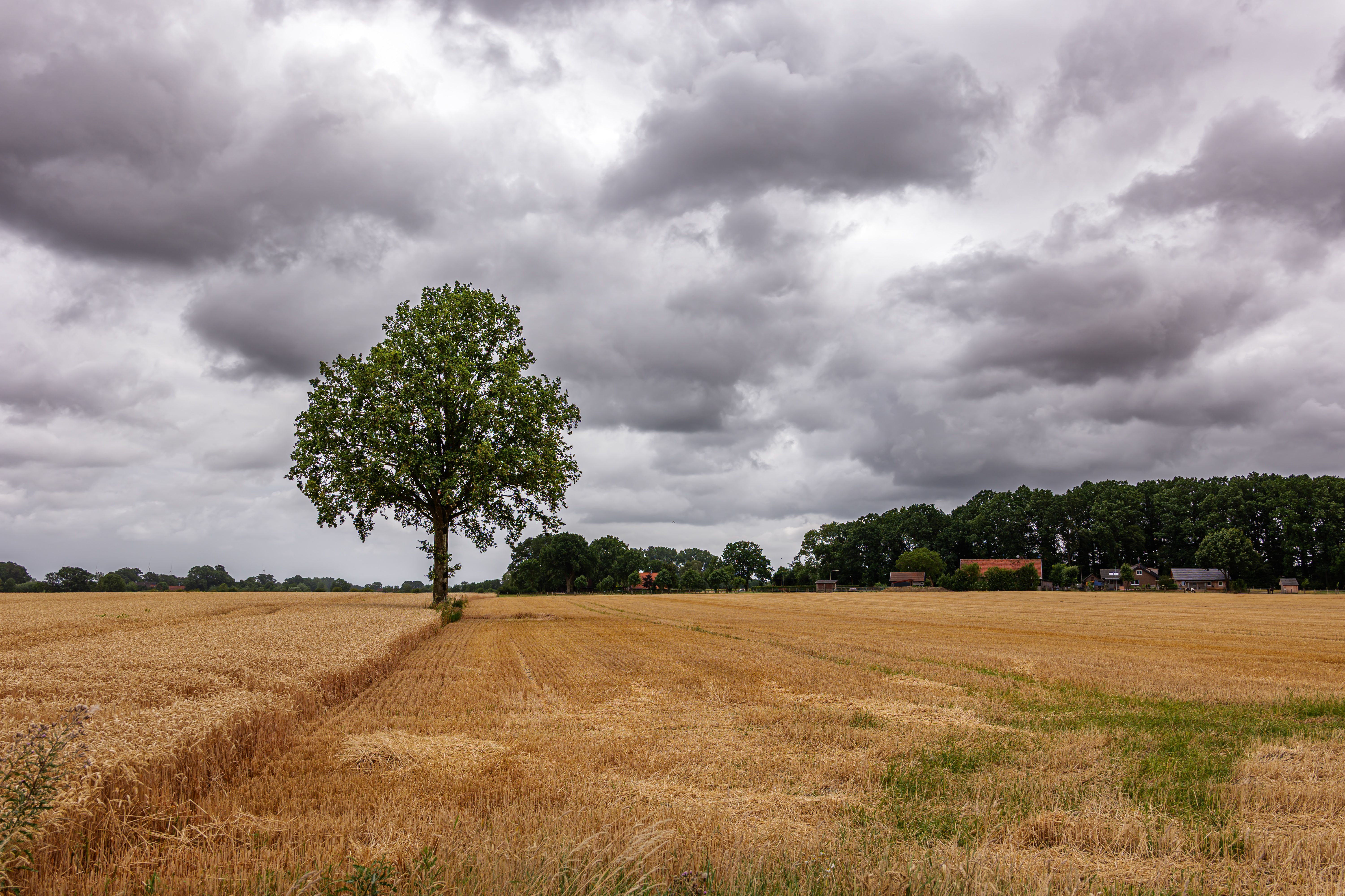 Deutsche ländliche Landschaft