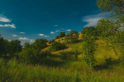 Free Vibrant green hillside with trees under a clear blue sky in summer, Sosnowiec, Poland. Stock Photo
