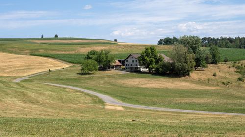 Free Scenic view of a rural countryside with fields and trees during summer. Stock Photo