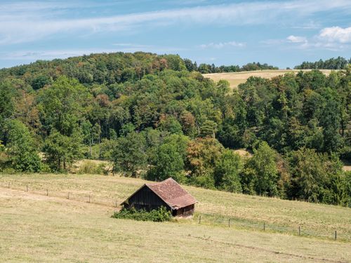 Free Idyllic scene of a rustic barn amidst lush green countryside and rolling hills. Stock Photo
