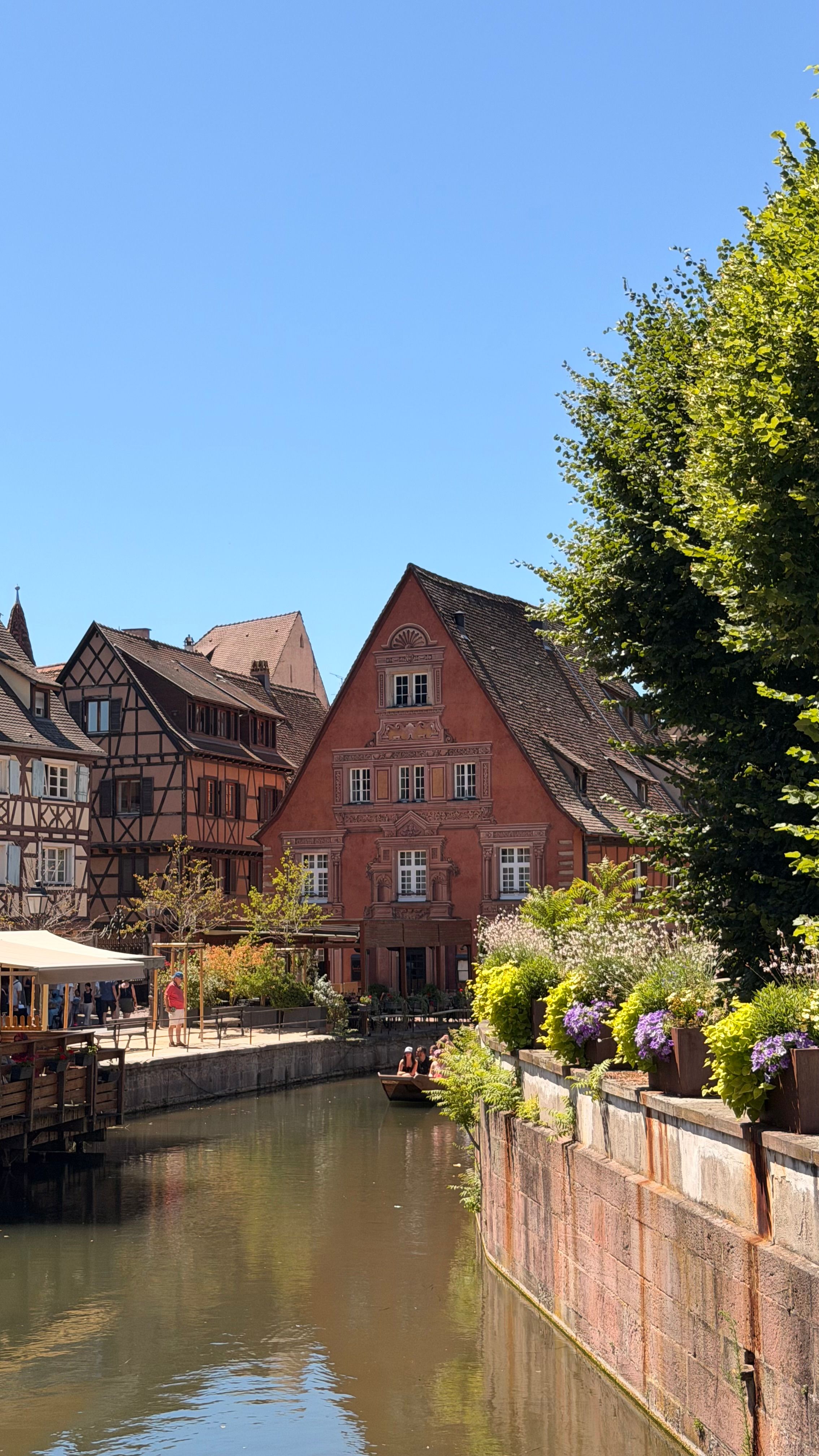 Picturesque view of traditional houses along a canal in Colmar, showcasing Alsace's unique architectural style.