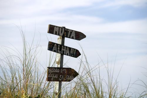 Free A weathered wooden signpost stands amidst tall grasses on a beach in Guaratuba, Brazil. Stock Photo